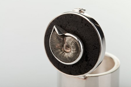 Egyéb / Ammonites mini II.